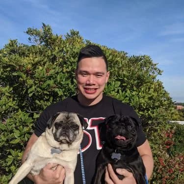 Bruce and Jet, two pugs, held by their owner